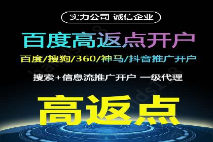 竞价托管服务对比：不同平台的优劣分析
